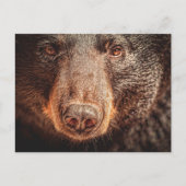 American Black Beer Closeup Briefkaart (Voorkant)