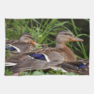 American Black Duck Kitchen Towels Theedoek