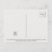 American Black of Silver Fox of North America Briefkaart (Achterkant)