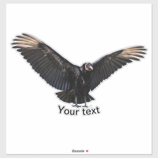 American Black Vulture Sticker (Vel)