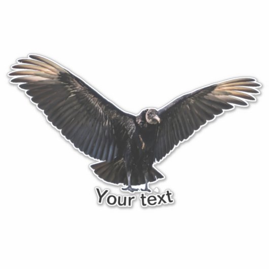 American Black Vulture Sticker (Voorkant)
