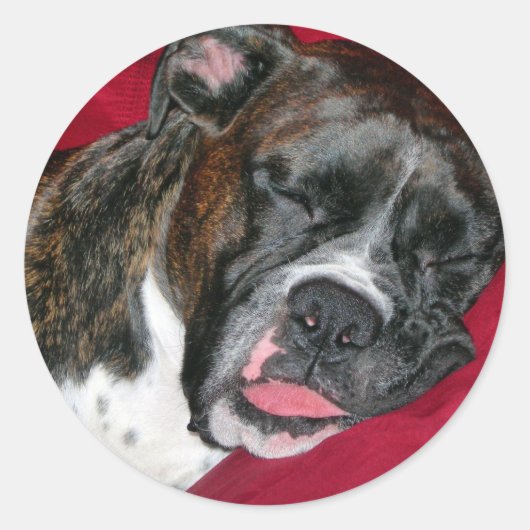 American Boxer Ronde Sticker (Voorkant)