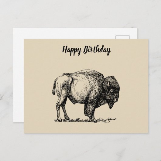 American Buffalo Bison Briefkaart (Voorkant / Achterkant)