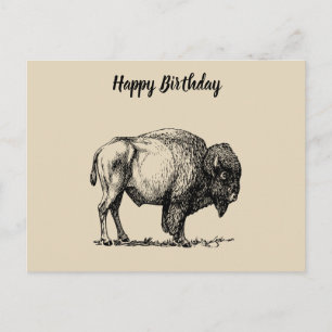 American Buffalo Bison Briefkaart