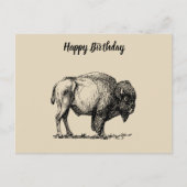 American Buffalo Bison Briefkaart (Voorkant)