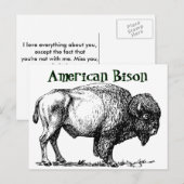 American Buffalo Bison Briefkaart (Voorkant / Achterkant)