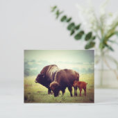 American Buffalo (Bison) Family Briefkaart (Staand voorkant)