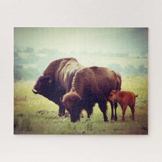 American Buffalo (Bison) Family Legpuzzel (Horizontaal)