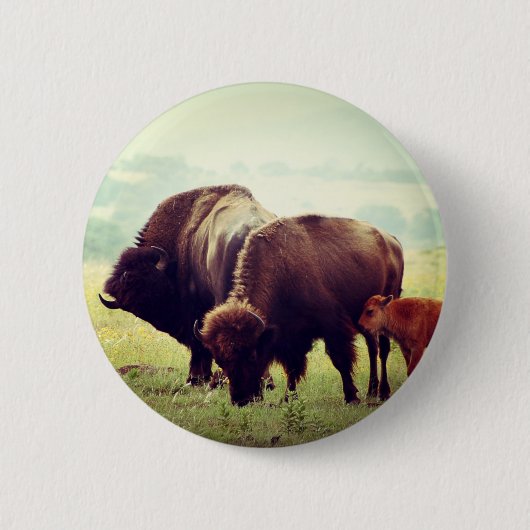American Buffalo (Bison) Family Ronde Button 5,7 Cm (Voorkant)