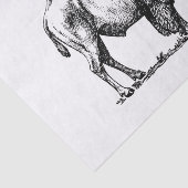 American Buffalo Bison Tissuepapier (Detail)