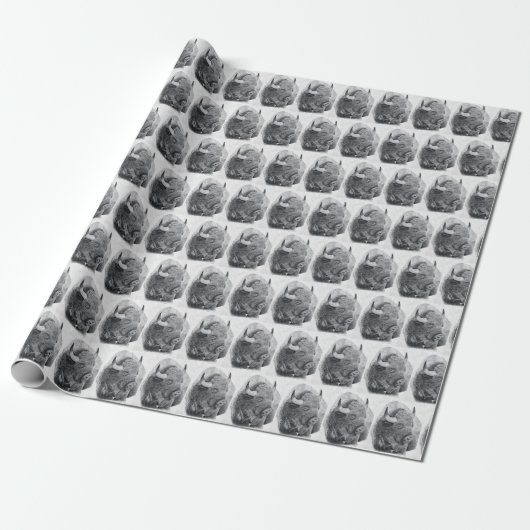 American Buffalo Cadeaupapier (Uitgerold)