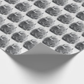 American Buffalo Cadeaupapier (Hoek)