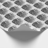 American Buffalo Cadeaupapier (Hoek)