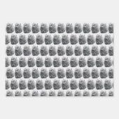 American Buffalo Inpakpapier Vel (Voorkant 2)