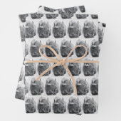 American Buffalo Inpakpapier Vel (In situ)