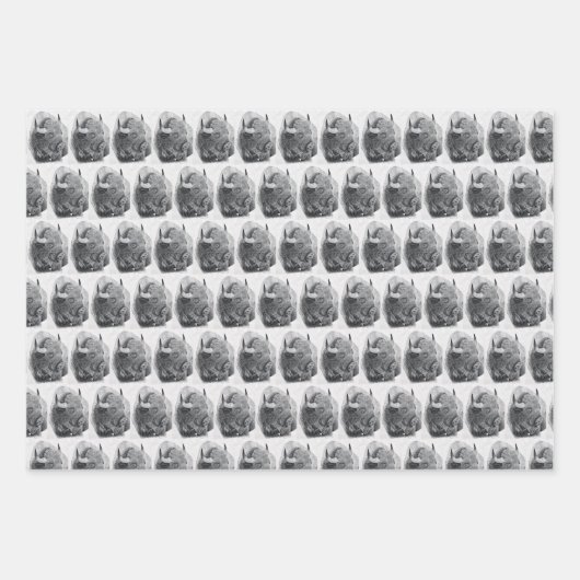 American Buffalo Inpakpapier Vel (Voorkant)