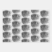 American Buffalo Inpakpapier Vel (Voorkant)