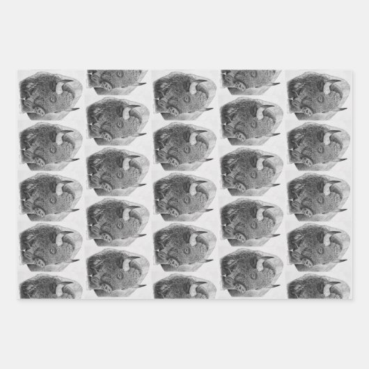 American Buffalo Inpakpapier Vel (Voorkant)