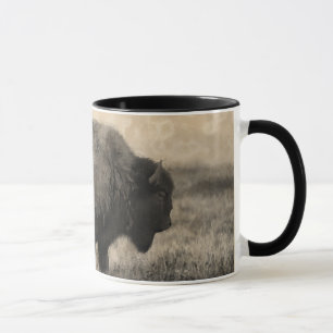 American Buffalo - Plains Bison Mok