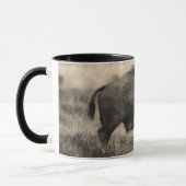 American Buffalo - Plains Bison Mok (Links)