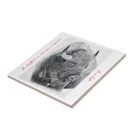 American Buffalo Tegeltje (Zijkant)