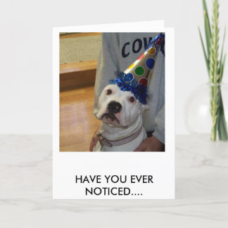 american bulldog birthday kaart