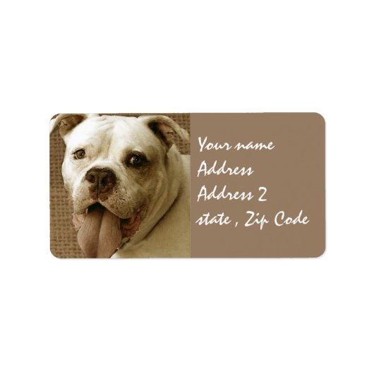 American Bulldog Etiket (Voorkant)