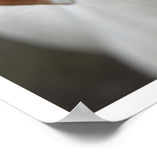 American Bulldog Face Poster (Hoek)