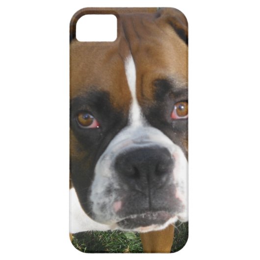 American Bulldog iPhone 5 Hoesje (Achterkant)