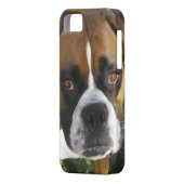American Bulldog iPhone 5 Hoesje (Achterkant Links)