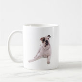 american bulldog koffiemok (Links)