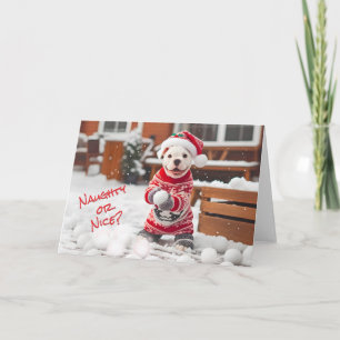 American Bulldog Pup Sneeuwballen Maken Kaart