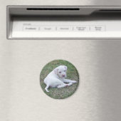 American Bulldog Puppy Magneet (Insitu (Vaatwasser))