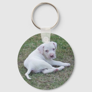 American Bulldog Puppy Sleutelhanger