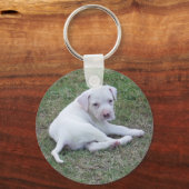 American Bulldog Puppy Sleutelhanger (Voorkant)