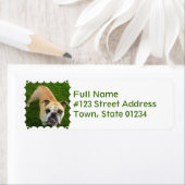 American Bulldog retouradreslabel Etiket (Insitu)