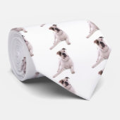 american bulldog stropdas (Opgerold)