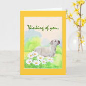 American Bulldog sympathie Kaart (Gele Bloem)