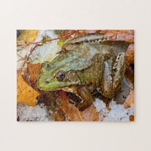 American Bullfrog in Snow Puzzle Legpuzzel