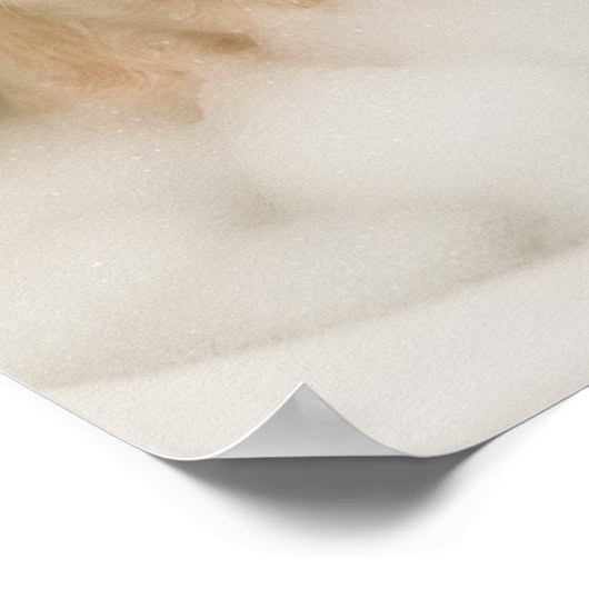 american bully dog cute funny bathroom decor poster (Hoek)