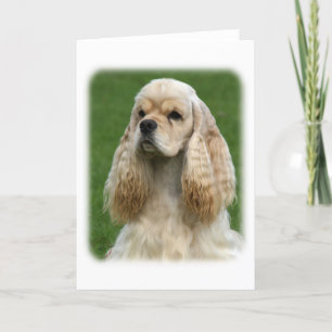 American Cocker Spaniel 9Y244D-035_2 Kaart