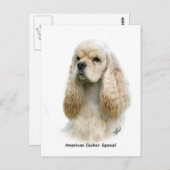 American Cocker Spaniel 9Y244D-035 Briefkaart (Voorkant / Achterkant)