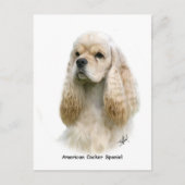 American Cocker Spaniel 9Y244D-035 Briefkaart (Voorkant)