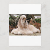 American Cocker Spaniel Series Briefkaart (Voorkant)