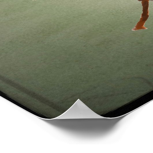 American Cockroach 🪳 Poster (Hoek)