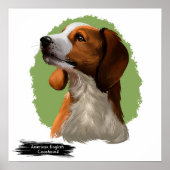 American Coonhound Portrait | Portret afdrukken Poster (Voorkant)