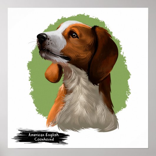 American Coonhound Portrait | Portret afdrukken Poster (Voorkant)