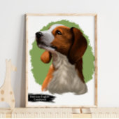 American Coonhound Portrait | Portret afdrukken Poster