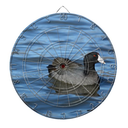 American Coot Dartbord (Voorkant)