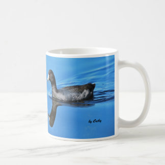 American Coot Koffiemok
